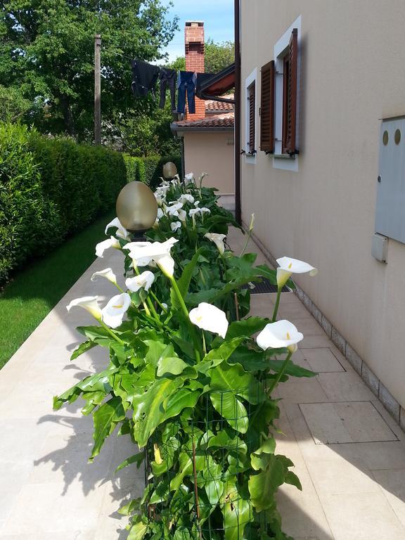 Ulika Rooms & Apartments Πόρετς Εξωτερικό φωτογραφία