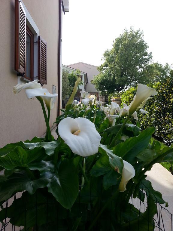 Ulika Rooms & Apartments Πόρετς Εξωτερικό φωτογραφία