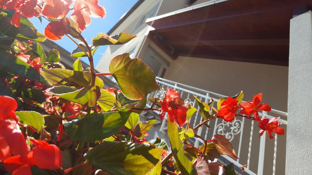 Ulika Rooms & Apartments Πόρετς Εξωτερικό φωτογραφία